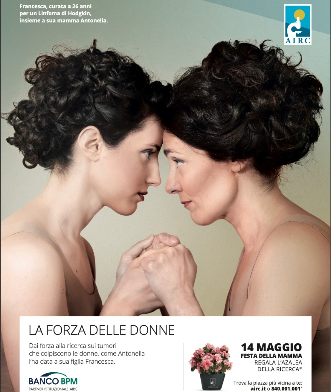 LA FORZA DELLE DONNE: regala l'azalea della ricerca