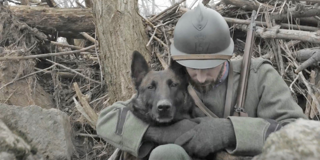 IMPRONTE Storie di animali in guerra