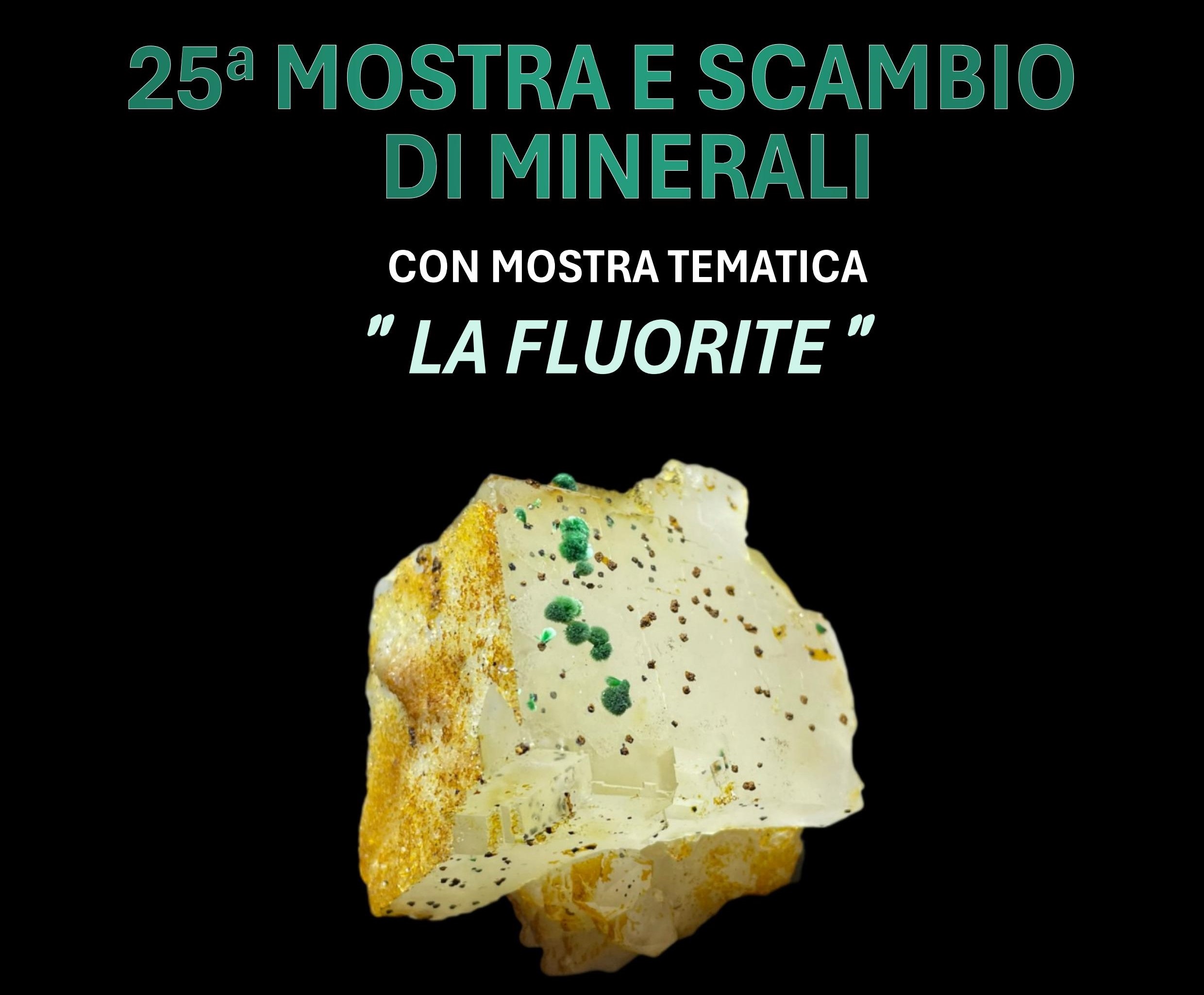 25a MOSTRA E SCAMBIO DI MINERALI