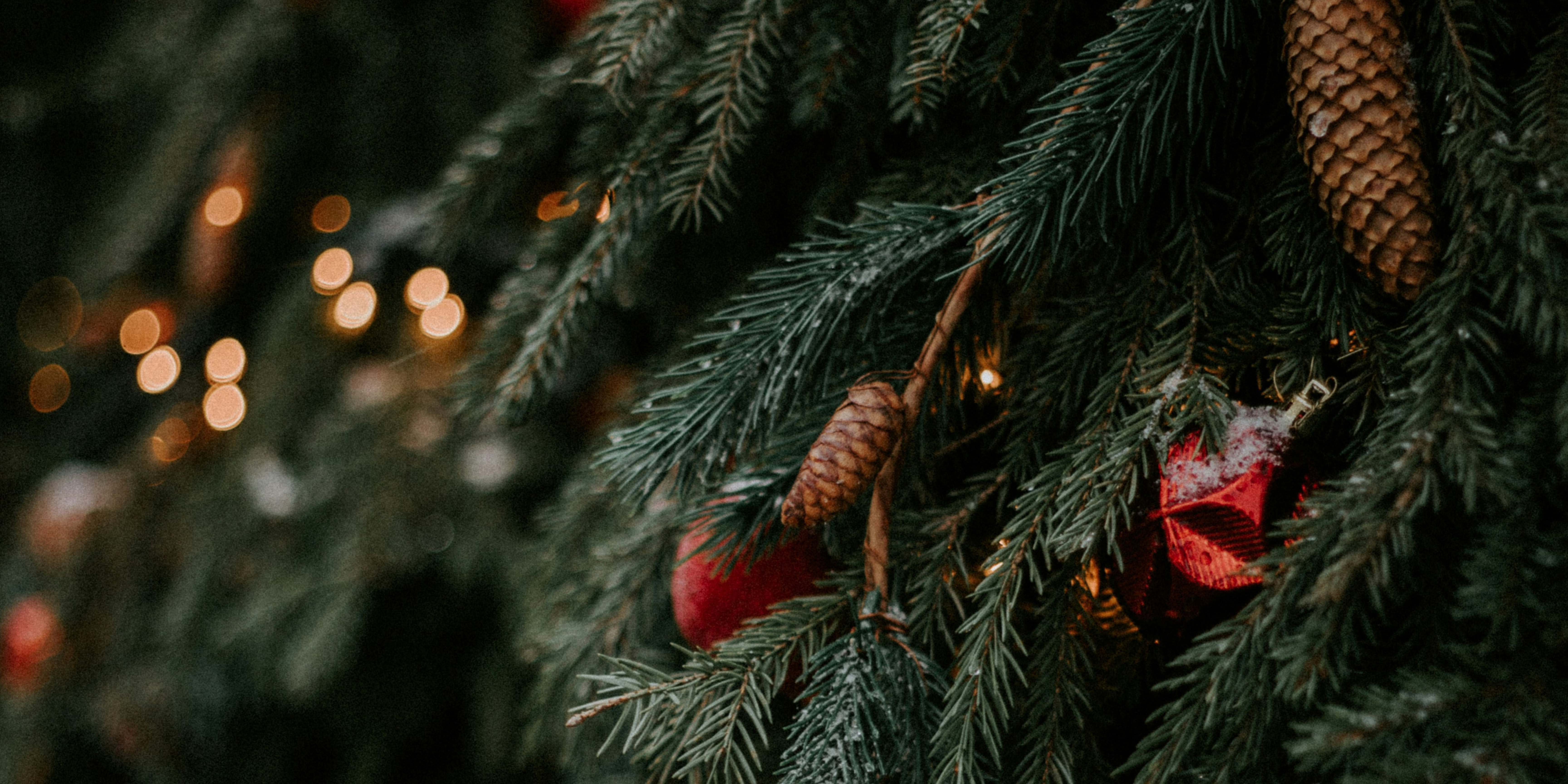 Accensione albero di Natale ad Alte