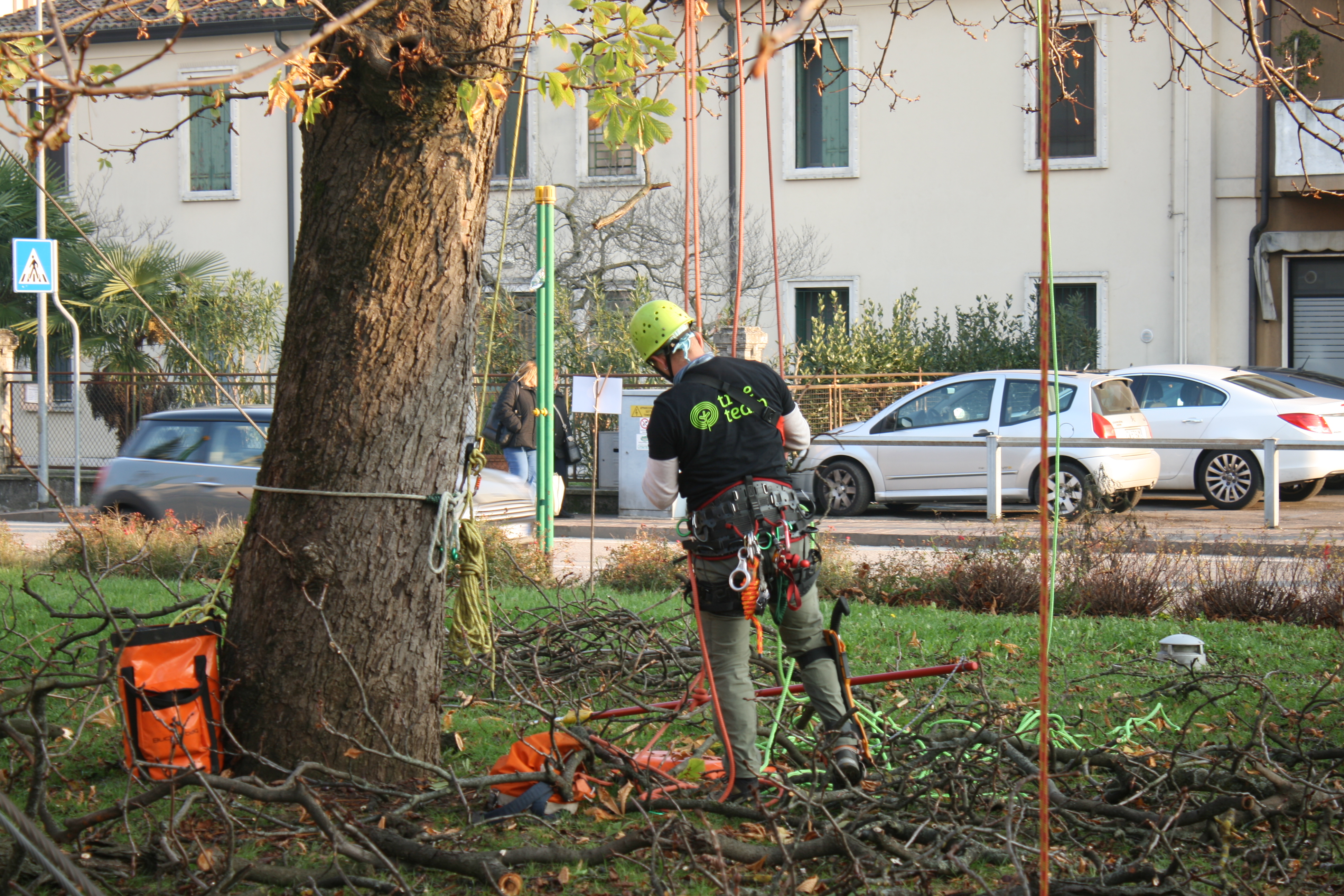 Montecchio Maggiore investe nel verde urbano: 230 mila euro per monitoraggio e interventi