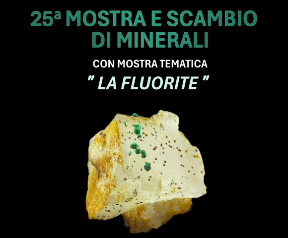 04_21 Mostra Scambio minerali_q