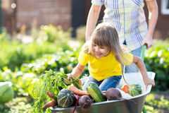 A misura di bimbi: VERDURE IN CARRIOLA