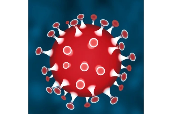 Emergenza coronavirus - informazioni utili